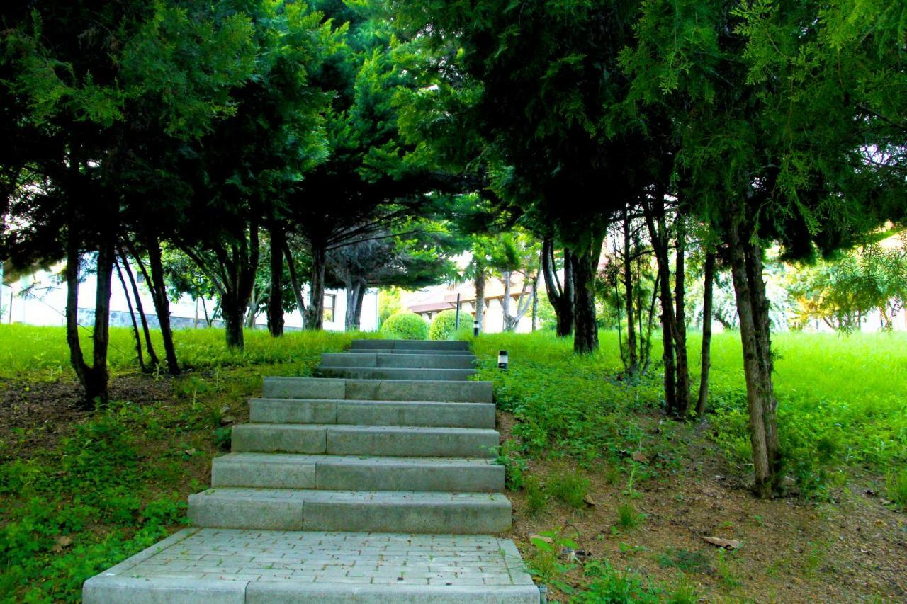 Sheki Olimpiya Hotel & Resort Exterior foto